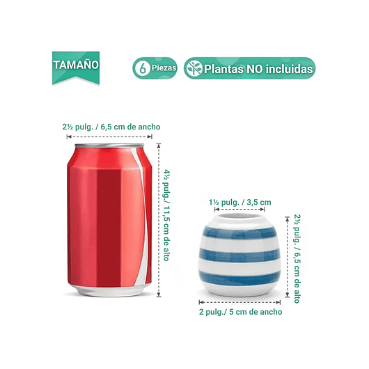 Juego De Macetas En Cerámica Fina x6 Piezas Cactus Baby Blue 6