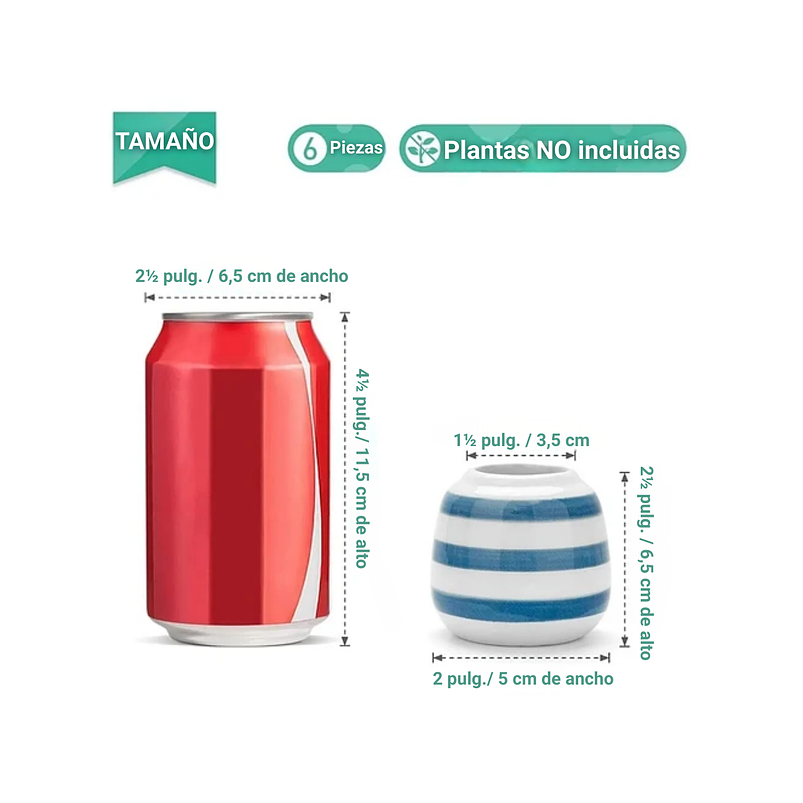 Juego De Macetas En Cerámica Fina x6 Piezas Cactus Baby Blue 6