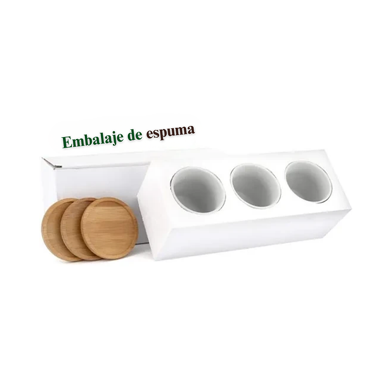 Juego Macetas Cerámica x3 Unidades Más Plato Bambú Diseño Geométrico 5