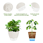 Juego Macetas x5 Unidades Auto Riego Más 4 Macramé - Miniatura 5