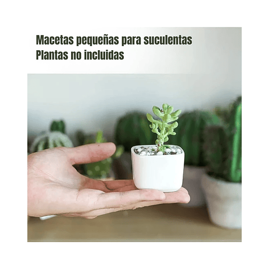 Maceta Cerámica Cuadrada Pequeña Blanca Premium Más plato Bambú 3