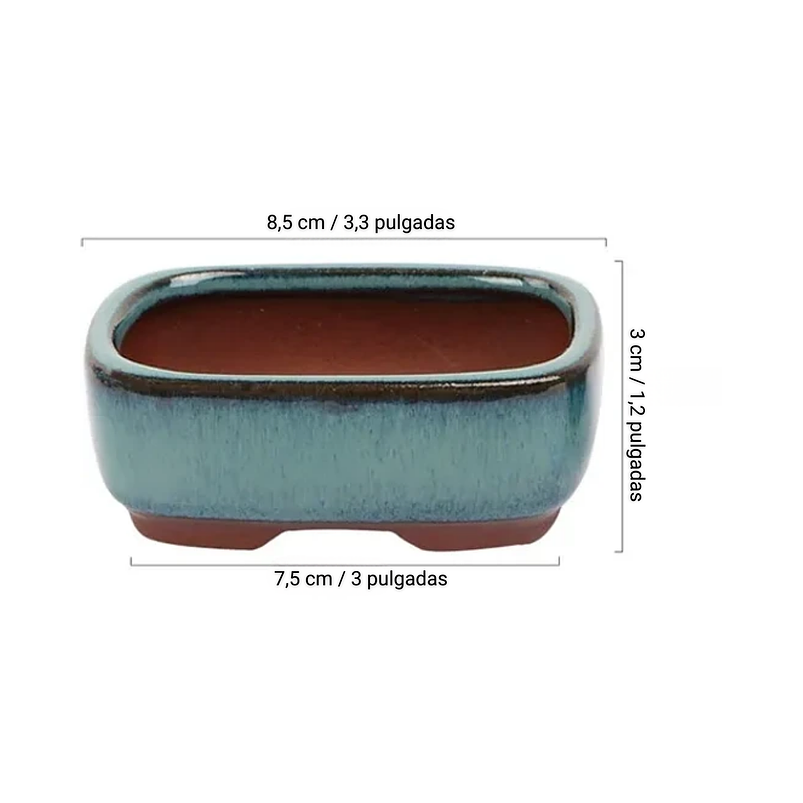 Set Macetas Mini Para Bonsái En Cerámica x4 Unidades 6