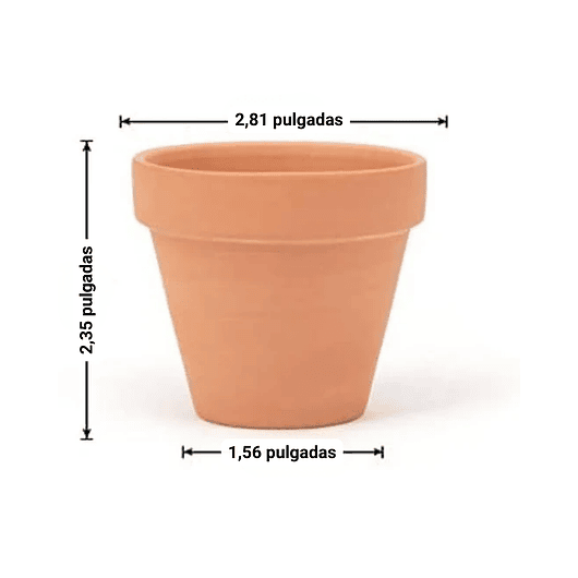 Maceta Suculenta Cactus Arcilla x10 Unidades - 7cm diametro x 6cm alto 5