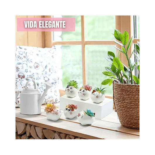 Juego Macetas Cerámica Premium Diseño Little Cats x6 Unidades  3