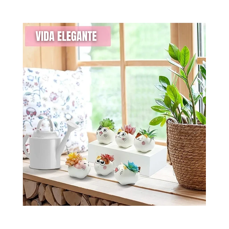 Juego Macetas Cerámica Premium Diseño Little Cats x6 Unidades  3