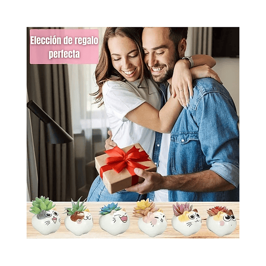 Juego Macetas Cerámica Premium Diseño Little Cats x6 Unidades  4