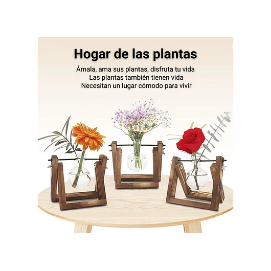 Maceta De Plantas Diseño Vintage Con Bombilla Cristal x1 Unidad 2