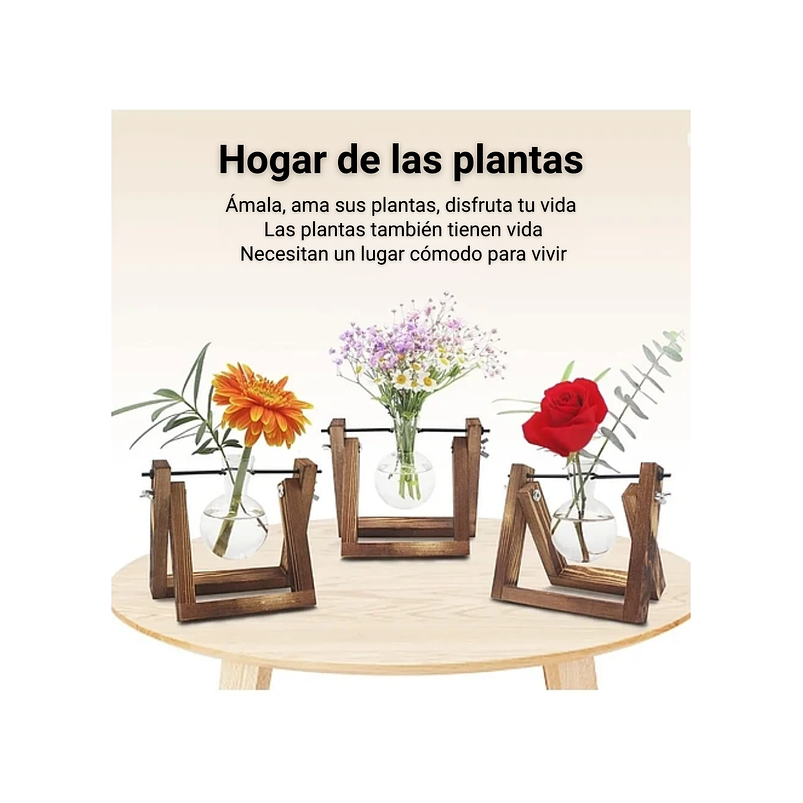 Maceta De Plantas Diseño Vintage Con Bombilla Cristal x1 Unidad 3