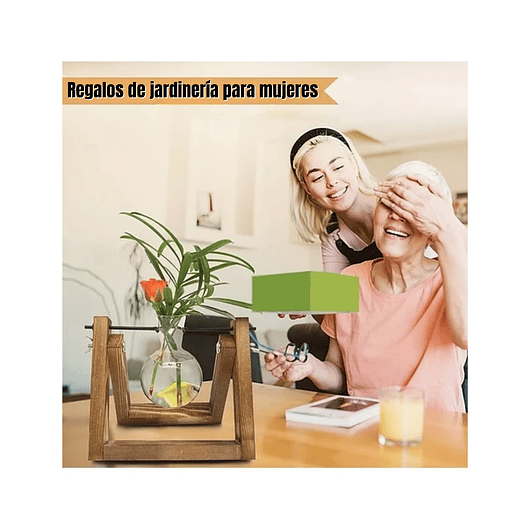 Maceta De Plantas Diseño Vintage Con Bombilla Cristal x1 Unidad 3