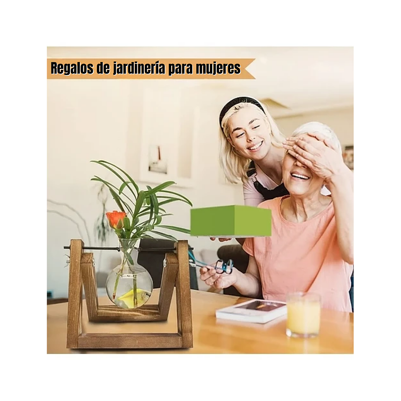 Maceta De Plantas Diseño Vintage Con Bombilla Cristal x1 Unidad 4