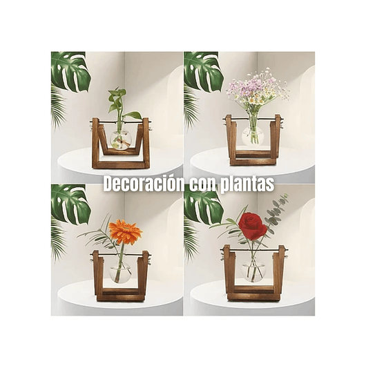 Maceta De Plantas Diseño Vintage Con Bombilla Cristal x1 Unidad 4