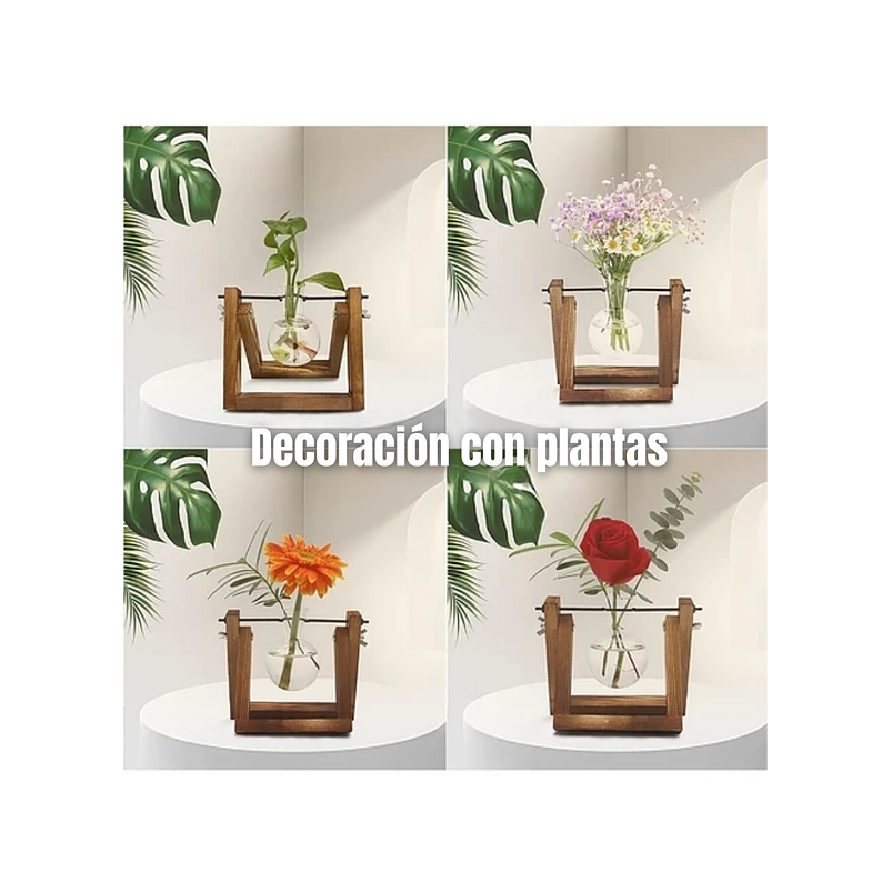 Maceta De Plantas Diseño Vintage Con Bombilla Cristal x1 Unidad 5