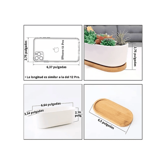 Maceta Cerámica Ovalada Premium Suculentas Más plato Bambú 3