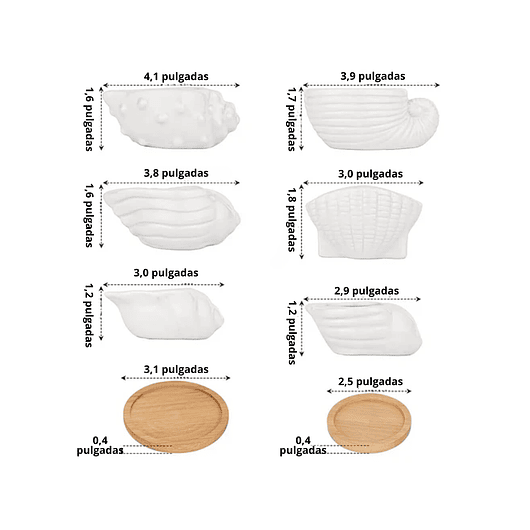 Juego De Macetas x6 Cerámica Conchas De Mar Más Plato En Bambú 3