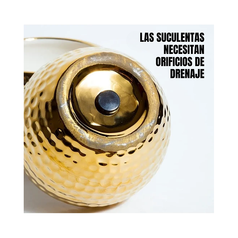 Maceta Cerámica Premium Dorada 7.62cm Diámetro x6.3 Alto Redonda 5