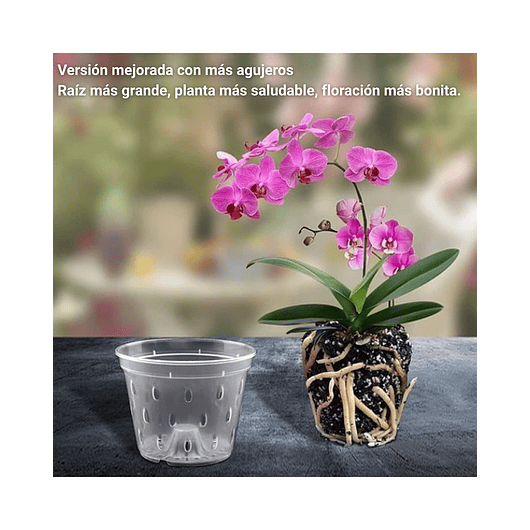 Maceta Siembra Orquídeas Plástica x10 Unidades 14cm Diámetro x10 Alto 2