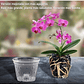 Maceta Siembra Orquídeas Plástica x10 Unidades 14cm Diámetro x10 Alto - Miniatura 2