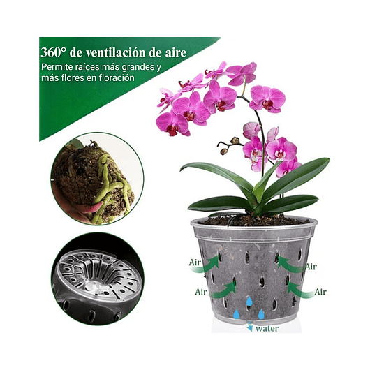 Maceta Siembra Orquídeas Plástica x10 Unidades 14cm Diámetro x10 Alto 6
