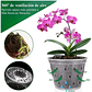Maceta Siembra Orquídeas Plástica x10 Unidades 14cm Diámetro x10 Alto - Miniatura 6