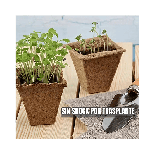 Maceta Papel Orgánico Biodegradable x5 Piezas x12 celdas Rectas Marrón claro 2