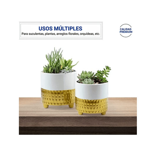 Juego Macetas Cerámica x2 Unidades Premium 12cm Diámetro x15cm Alto 2