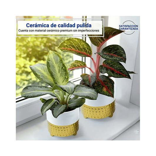 Juego Macetas Cerámica x2 Unidades Premium 12cm Diámetro x15cm Alto 3