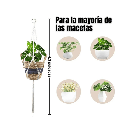 3 Macetas Fibra Natural Más Macramé Colgar Multitamaño 2