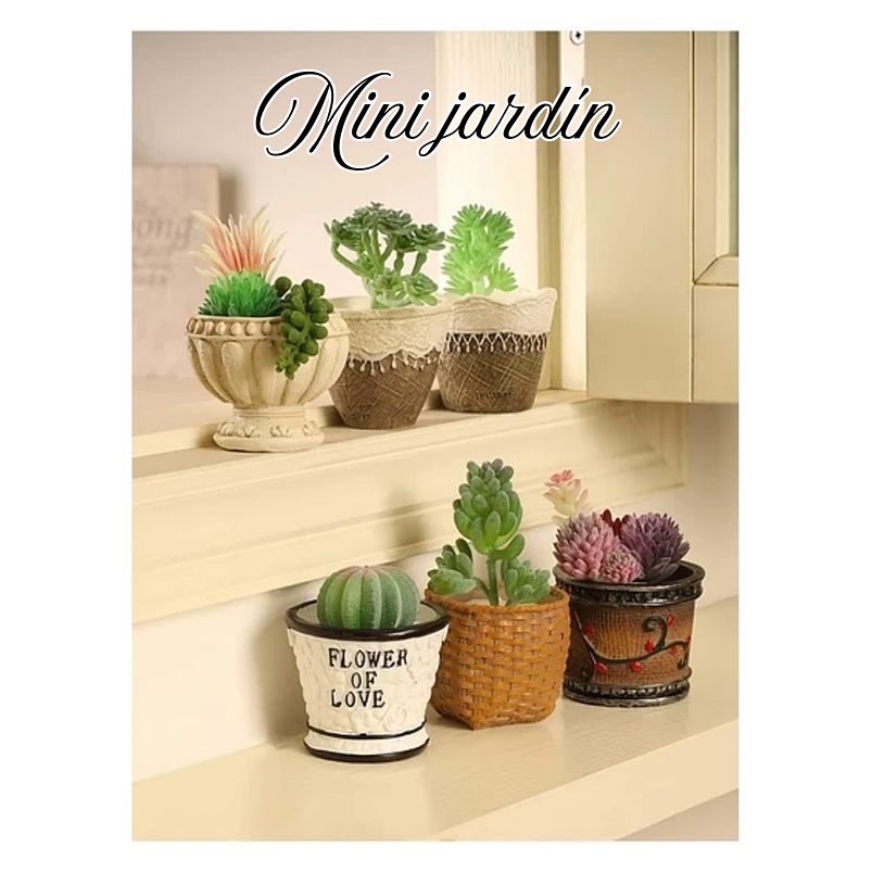 Juego Macetas Cerámica De Plantas Cactus Suculentas x12 unidades 2