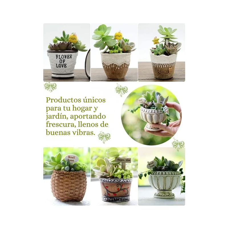 Juego Macetas Cerámica De Plantas Cactus Suculentas x12 unidades 4
