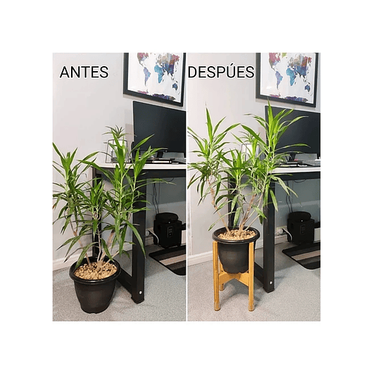 Soporte De Macetas Plantas En Bambú Ajustable 2