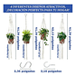 Soporte Colgante Para Plantas x4 Unidades En Macramé Más Gancho - Miniatura 7