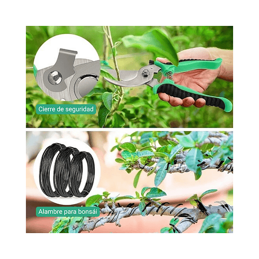 Kit Herramientas Cuidado Bonsái Planta Básico 12 piezas Más estuche 2