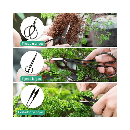 Kit Herramientas Cuidado Bonsái Planta Básico 12 piezas Más estuche 3