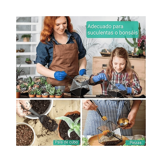 Kit Herramientas Cuidado Bonsái Planta Básico 12 piezas Más estuche 4