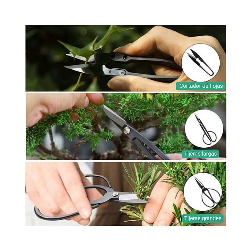 Kit Herramientas Bonsái Acero x19 Piezas Más Estuche 3