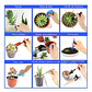 Kit Herramientas Jardinería Plantas Pequeñas x20 Piezas Acero - Miniatura 5