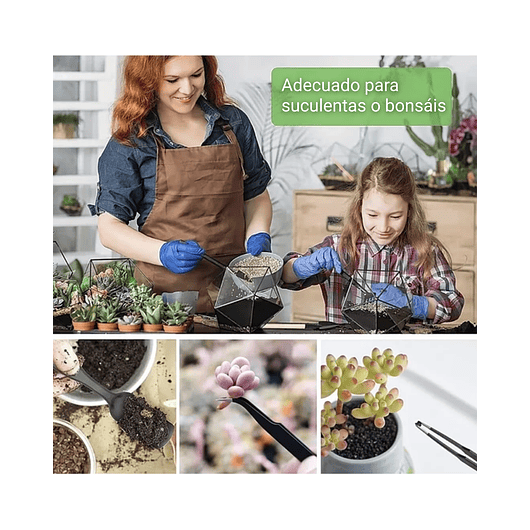 Kit Herramientas Bonsai Acero Profesional x18 Piezas Más Estuche 6