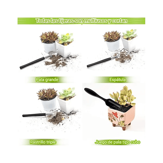 Kit Herramientas Bonsai Acero Profesional x18 Piezas Más Estuche 7