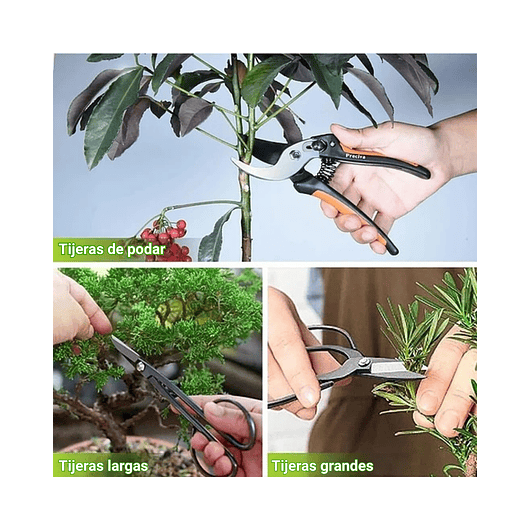 Kit Premium Herramientas Planta Bonsái Acero 12 Piezas Más Estuche 7