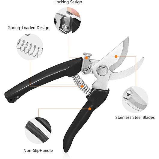 Tijera de Poda Para Plantas - Jardinería Hoja En Acero 24