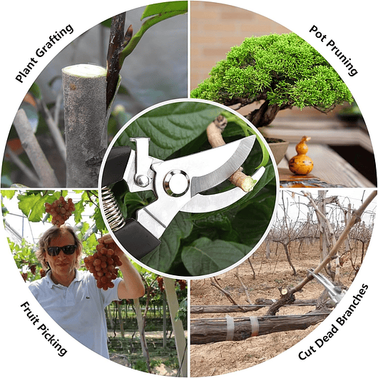 Tijera de Poda Para Plantas - Jardinería Hoja En Acero 26