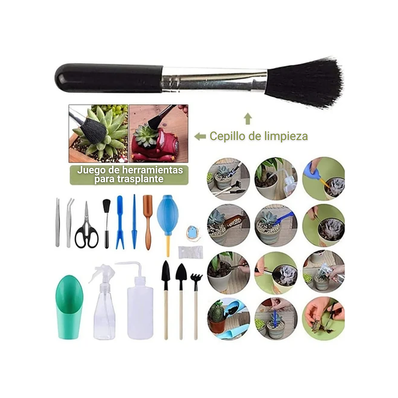 Kit Herramientas De Cactus Y Suculentas x16 Piezas Plantas 2