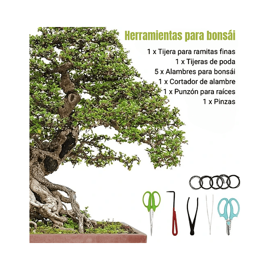 Juego Herramientas Kit Bonsái x9 Piezas Más Estuche 3