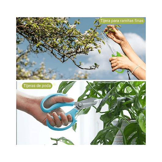 Juego Herramientas Kit Bonsái x9 Piezas Más Estuche 4