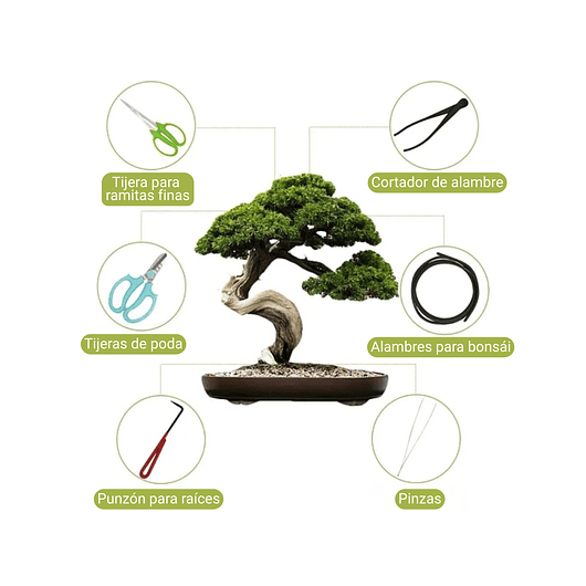 Juego Herramientas Kit Bonsái x9 Piezas Más Estuche 5