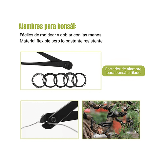 Juego Herramientas Kit Bonsái x9 Piezas Más Estuche 6