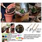 Kit Herramientas Jardín 2 Tamaños x7 Piezas más guantes y Bolsa - Miniatura 4