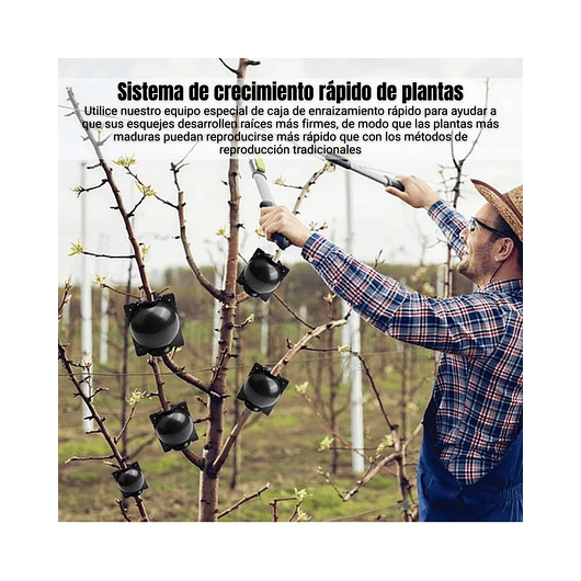 Esqueje Bola Plásticas Propagación x5 Raíz Enraizamiento T:S  5
