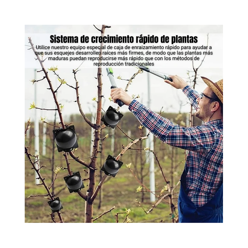 Esqueje Bola Plásticas Propagación x5 Raíz Enraizamiento T:S  5