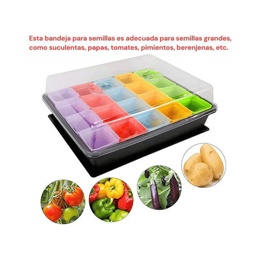 Bandeja Germinación x1 Más Cúpula En Maceta x20 Piezas 2